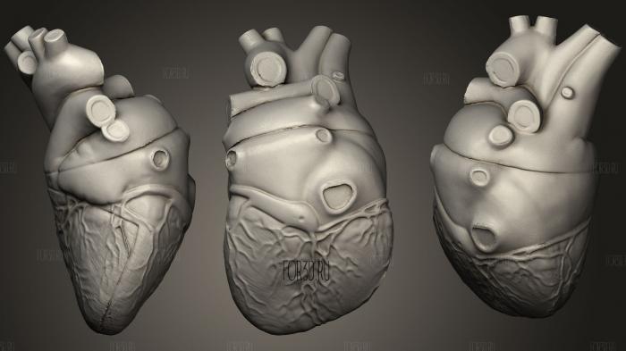 Heart stl model for CNC